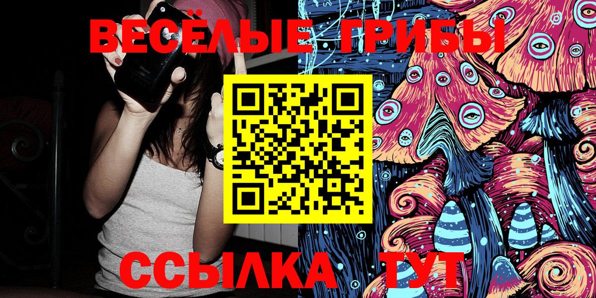 Галлюциногенные грибы прущие грибы  Вход с VPN  Ставрополь 