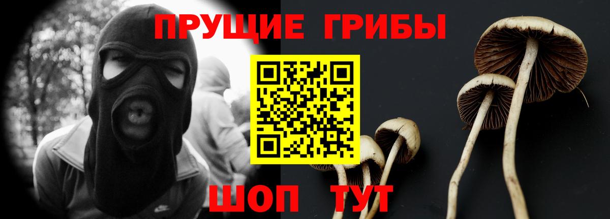 Псилоцибиновые грибы Magic Shrooms Ставрополь